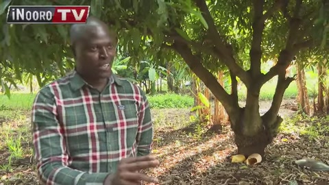 Ndĩndĩ Nyoro Ũrĩa, Harĩa Na Kĩrĩa Twahĩngĩcanĩire Na President Ruto